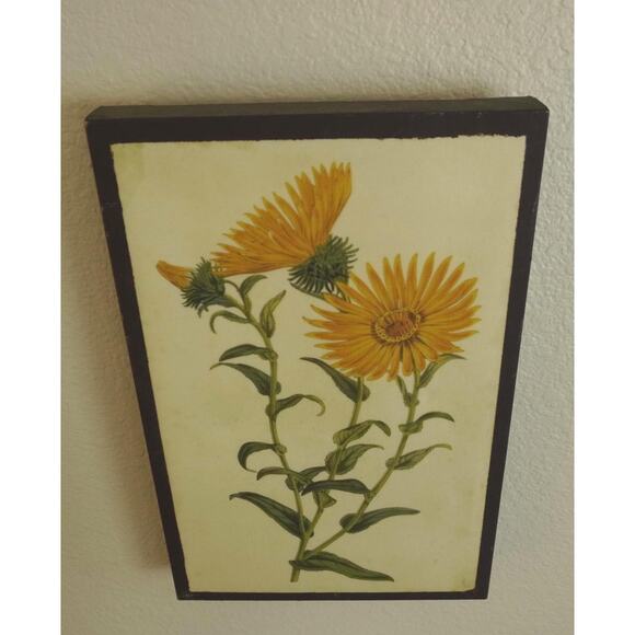 Vintage Grindelia Grandiflora Canvas Wall Decor - Picture 2 of 3